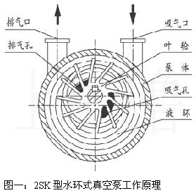 聚氨酯HFC-245fa發泡劑噴涂體系專用催化劑在提高硬泡與金屬基材粘接力研究